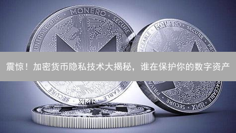 震惊！加密货币隐私技术大揭秘，谁在保护你的数字资产？