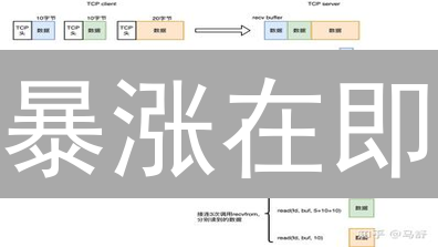 暴涨在即？掌握加密货币数据，解锁财富密码！