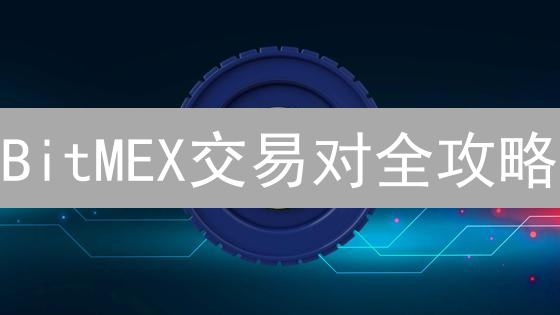 BitMEX交易对全攻略：高杠杆下的财富密码？