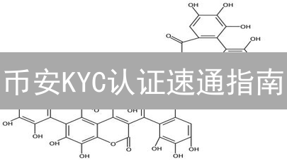 币安KYC认证速通指南：告别失败，解锁交易自由！