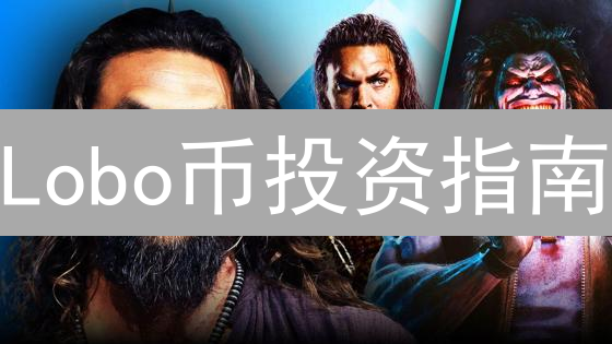 Lobo币投资指南：新手如何安全高效购买？ (2024最新)