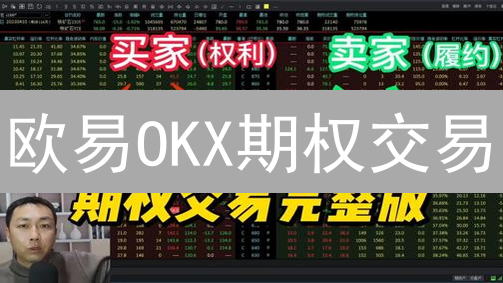 欧易OKX期权交易：新手指南与高级策略，如何玩转？